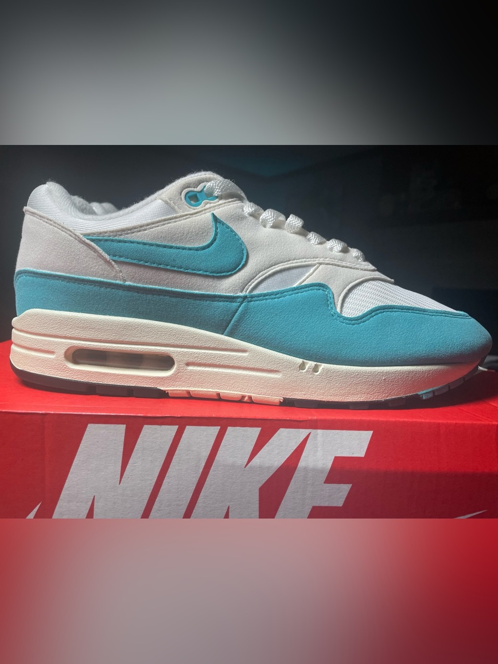 Air Max 1 Dusty Cactus 10W-8.5M